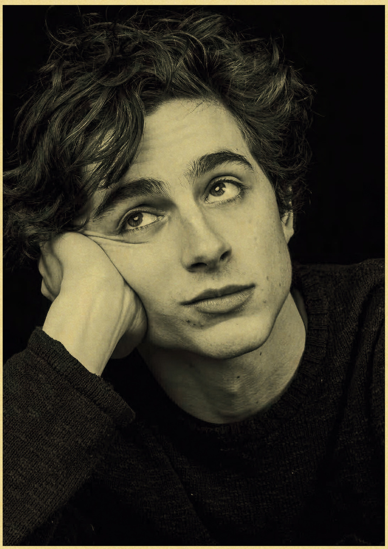 Timothee Chalamet Retro Canvas - Home Bar And Theater ulasan dan harga