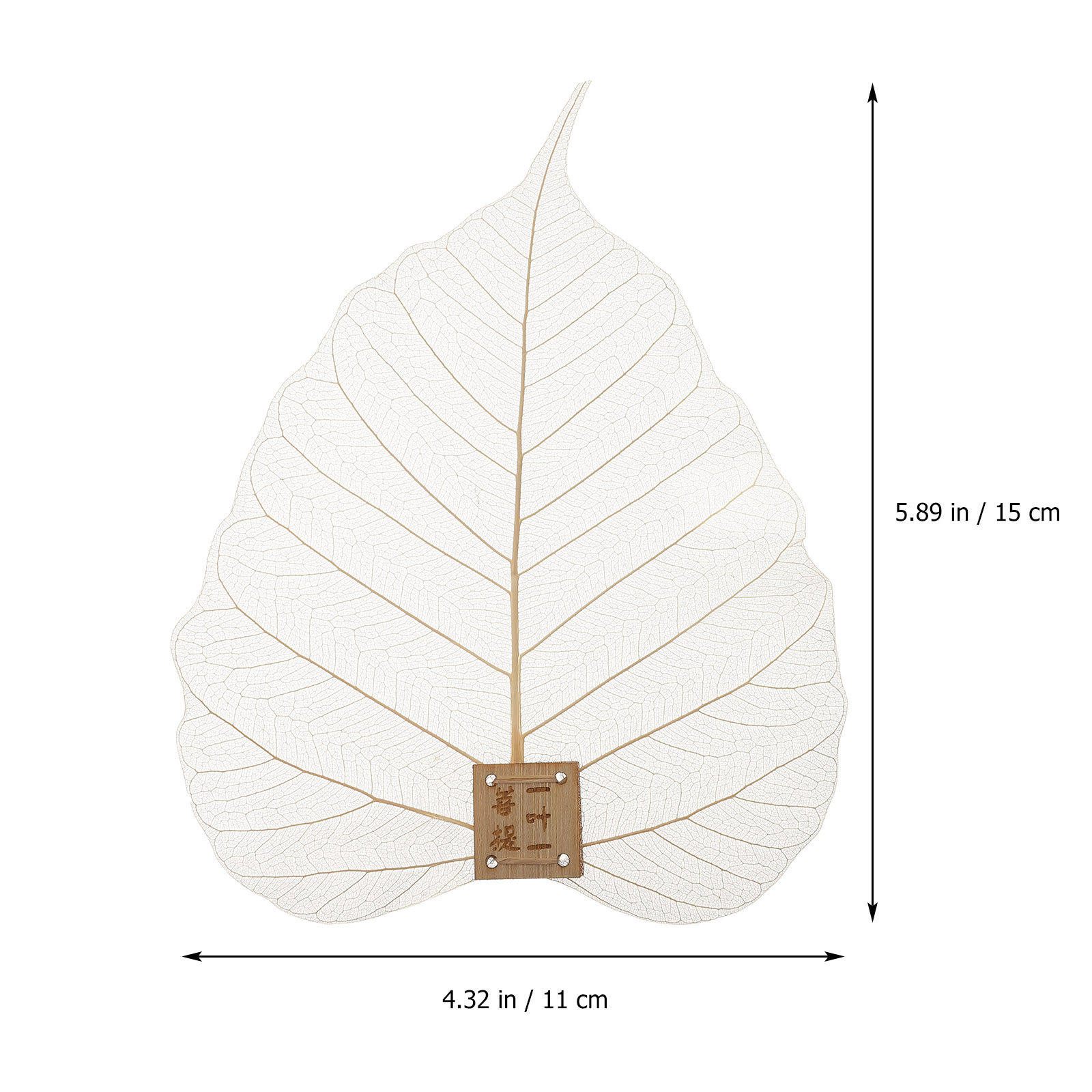Strainer Filter Leaf Shape Fin - Home Bar Supplies ulasan dan harga
